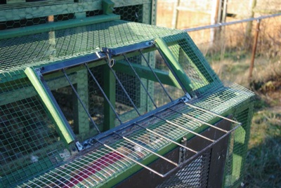 nesting box